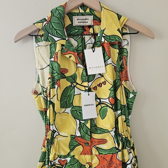Alessandro Enriquez Lemon Print Fit and Flare Dress IT 42 NWT - Picture 2 of 14